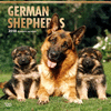 2018 German Shepherds Wall Calendar 20 p. 17