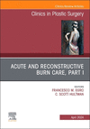 Acute and Reconstructive Burn Care, Part I, An Issue of Clinics in Plastic Surgery (The Clinics: Surgery, Vol. 51-2) '24
