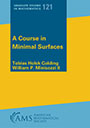 A Course in Minimal Surfaces c2011