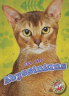 Abyssinians(Cool Cats) H 24 p. 16