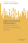 High-Dimensional Optimization:Set Exploration in the Non-Asymptotic Regime (SpringerBriefs in Optimization) '24