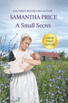 A Small Secret Large Print(Amish Romance Secrets Vol.3) P 196 p. 19