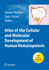 Atlas of the Cellular and Molecular Development of Human Hematopoiesis 1st ed. 2023 H 400 p. 300 illus. in color. 23