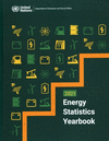 Energy Statistics Yearbook 2021 P 576 p. 24