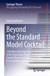 Beyond the Standard Model Cocktail (Springer Theses)
