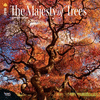 2018 Majesty of Trees, the Wall Calendar 20 p. 17