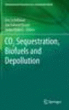 CO2 Sequestration, Biofuels and Depollution 2015th ed.(Environmental Chemistry for a Sustainable World Vol.5) H 470 p. 15