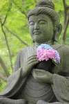 A Buddha with Flowers Journal: 150 Page Lined Notebook/Diary P 152 p.