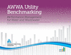 2022 AWWA Utility Benchmarking: Performance Management for Water and Wastewater P 258 p.