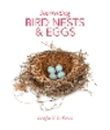 Interesting Bird Nests and Eggs H 256 p. 24