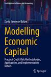 Modelling Economic Capital (Contributions to Finance and Accounting)