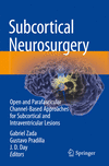 Subcortical Neurosurgery:Open and Parafascicular Channel-Based Approaches for Subcortical and Intraventricular Lesions '23