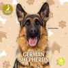 German Shepherds H 24 p. 24