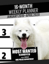 2019-2020 Weekly Planner - Most Wanted Samoyed: Daily Diary Monthly Yearly Calendar Large 8.5 X 11 Schedule Journal Organizer No