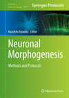 Neuronal Morphogenesis:Methods and Protocols, 2024 ed. (Methods in Molecular Biology, Vol. 2831) '24