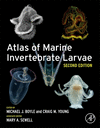 Atlas of Marine Invertebrate Larvae 2nd ed. P 691 p. 25