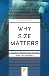Why Size Matters – From Bacteria to Blue Whales( 145) P 176 p. 24