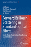 Forward Brillouin Scattering in Standard Optical Fibers (Springer Series in Optical Sciences, Vol. 240)