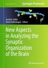 New Aspects in Analyzing the Synaptic Organization of the Brain(Neuromethods 212) H