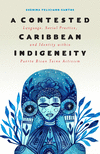 A Contested Caribbean Indigeneity (Critical Caribbean Studies)