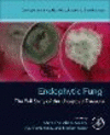 Endophytic Fungi:The Full Story of the Untapped Treasure (Developments in Applied Microbiology and Biotechnology) '22