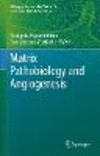 Matrix Pathobiology and Angiogenesis (Biology of Extracellular Matrix, Vol. 12) '23