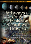 Pathways to the Origin and Evolution of Meanings I n the Universe '24