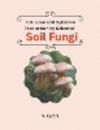Cellulase And Xylanase Production By Selected Soil Fungi P 86 p. 24