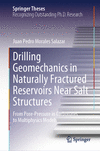 Drilling Geomechanics in Naturally Fractured Reservoirs Near Salt Structures (Springer Theses)