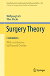 Surgery Theory:Foundations (Grundlehren der mathematischen Wissenschaften, Vol. 362) '24