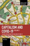 Capitalism and Covid-19 Volume 1 P 238 p. 24