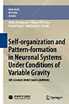 Self-organization and Pattern-formation in Neuronal Systems Under Conditions of Variable Gravity(Nonlinear Physical Science) H 4