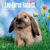 2018 Lop Eared Rabbits Wall Calendar 20 p. 17