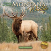 2023 Montana Wildlife Calendar 22