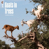 2018 Goats in Trees Wall Calendar 20 p. 17