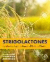 Strigolactones:Synthesis, Application and Role in Plants '24