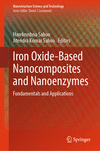 Iron Oxide-Based Nanocomposites and Nanoenzymes(Nanostructure Science and Technology) hardcover XVIII, 326 p. 24