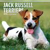 2018 Jack Russell Terriers Wall Calendar 20 p. 17