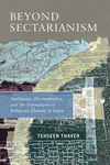 Beyond Sectarianism – Ambiguity, Hermeneutics, and the Formations of Religious Identity in Islam H 320 p. 24