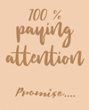100% Paying Attention: Promise Notebook P 112 p.