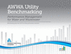 2020 AWWA Utility Benchmarking: Performance Management for Water and Wastewater P 233 p.