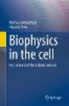 Biophysics in the cell:For students of the natural sciences '23