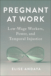 Pregnant at Work – Low–Wage Workers, Power, and Temporal Injustice P 208 p. 24