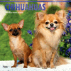 2018 Chihuahuas Wall Calendar 20 p. 17