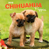 2018 Chihuahua Puppies Wall Calendar 20 p. 17