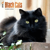 2018 Black Cats Wall Calendar 20 p. 17