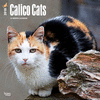 2018 Calico Cats Wall Calendar 20 p. 17