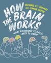 How the Brain Works:What Psychology Students Need to Know '23