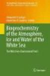 Biogeochemistry of the Atmosphere, Ice and Water of the White Sea, Part 1 (The Handbook of Environmental Chemistry, Vol.81)