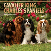2018 Cavalier King Charles Spaniels Wall Calendar 20 p. 17